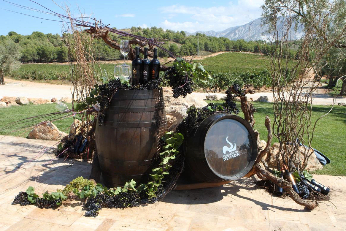 Decoracion De Bodegon Evento Vendimia Bodegas